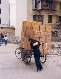 The Cargo Bike